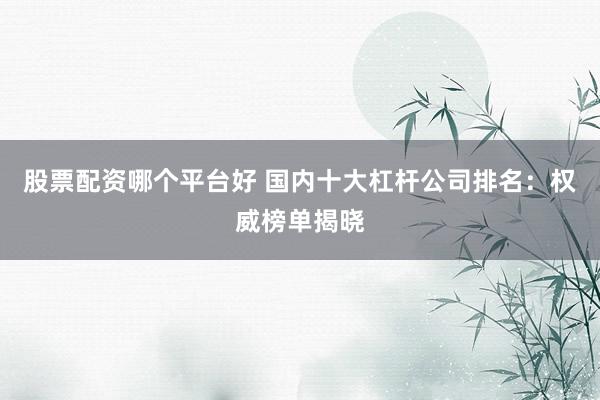 股票配资哪个平台好 国内十大杠杆公司排名：权威榜单揭晓