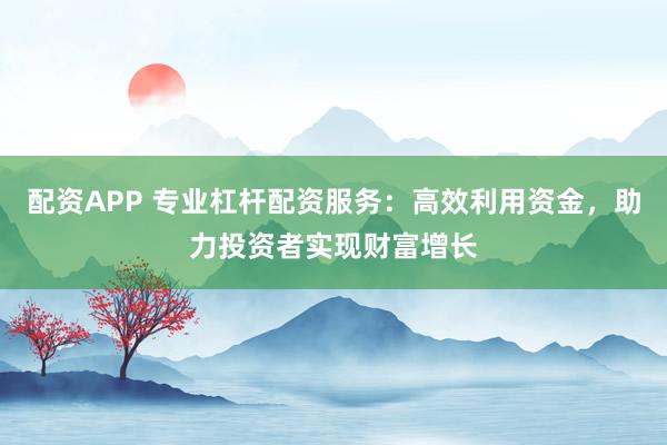 配资APP 专业杠杆配资服务：高效利用资金，助力投资者实现财富增长