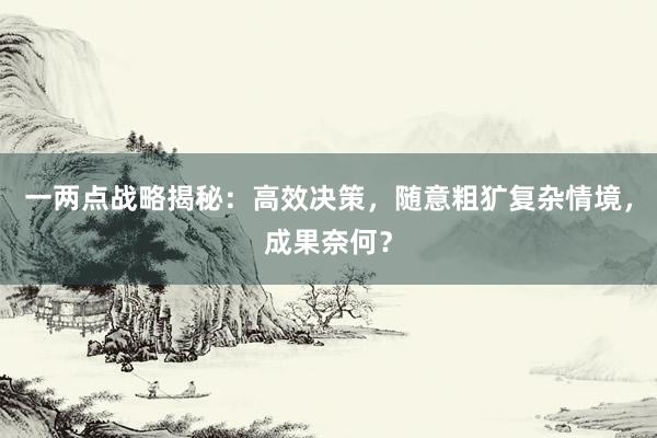 一两点战略揭秘：高效决策，随意粗犷复杂情境，成果奈何？
