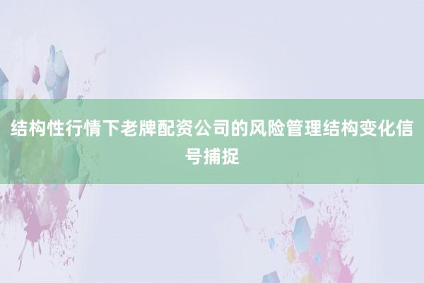 结构性行情下老牌配资公司的风险管理结构变化信号捕捉