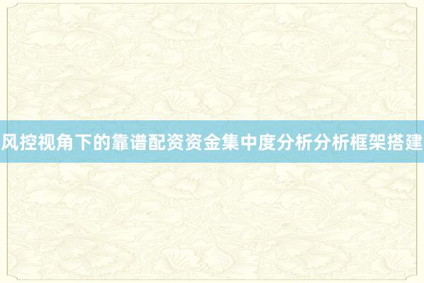 风控视角下的靠谱配资资金集中度分析分析框架搭建