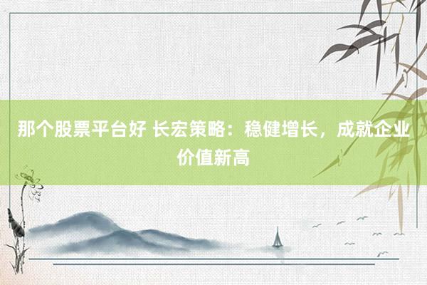 那个股票平台好 长宏策略：稳健增长，成就企业价值新高