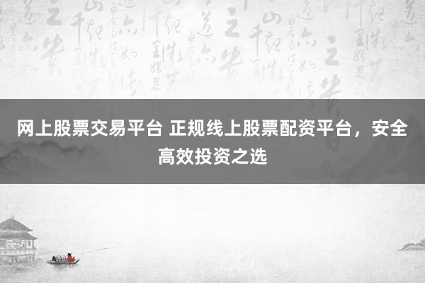 网上股票交易平台 正规线上股票配资平台，安全高效投资之选