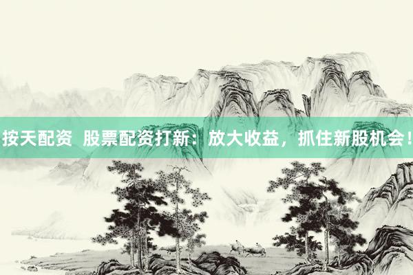 按天配资  股票配资打新：放大收益，抓住新股机会！