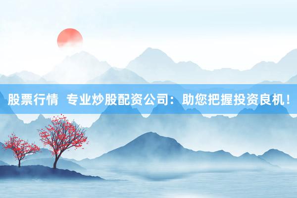 股票行情 专业炒股配资公司:助您把握投资良机!